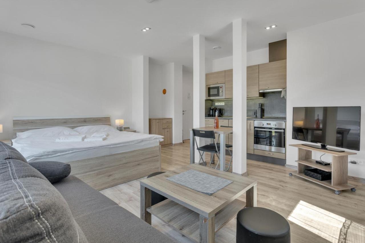 Family Apartments Klinovec Loučná pod Klínovcem Eksteriør bilde