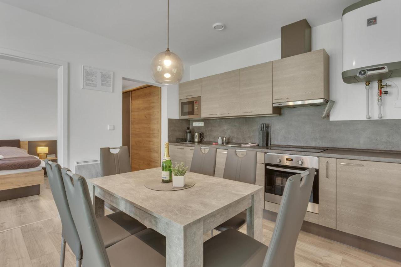 Family Apartments Klinovec Loučná pod Klínovcem Eksteriør bilde